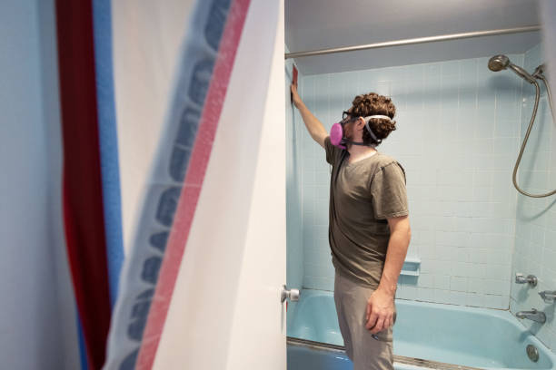 Best Environmental Consulting for Mold Prevention  in Woodfin, NC