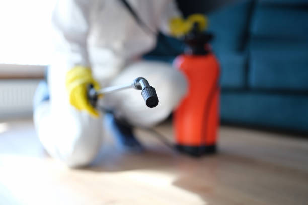 Best HVAC Mold Inspection and Cleaning  in Woodfin, NC