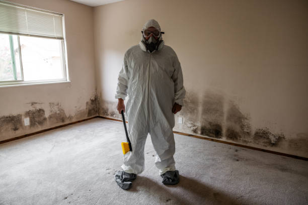 Best Crawl Space Mold Remediation  in Woodfin, NC