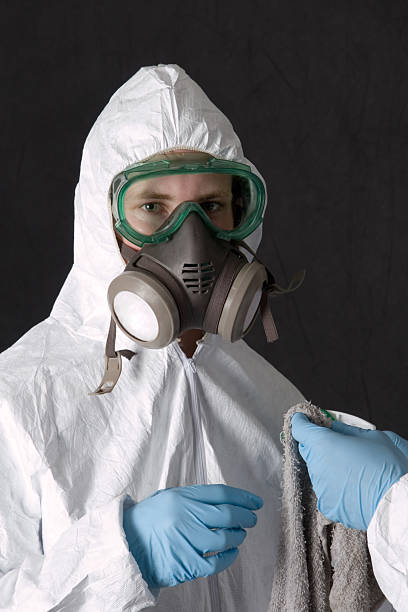 Best Mold Removal for HVAC Installations  in Woodfin, NC